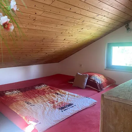 U Vlasty Holiday home *