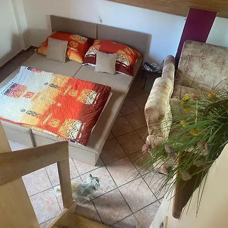 U Vlasty Holiday home Detenice